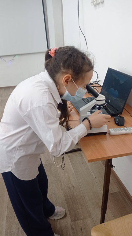 Бессонова Вероника. Интересная работа. Бессонова Вероника. Интересная работа.